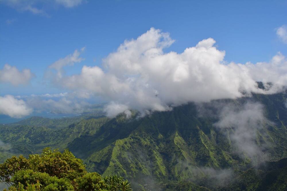 Photo of Others in Wailua