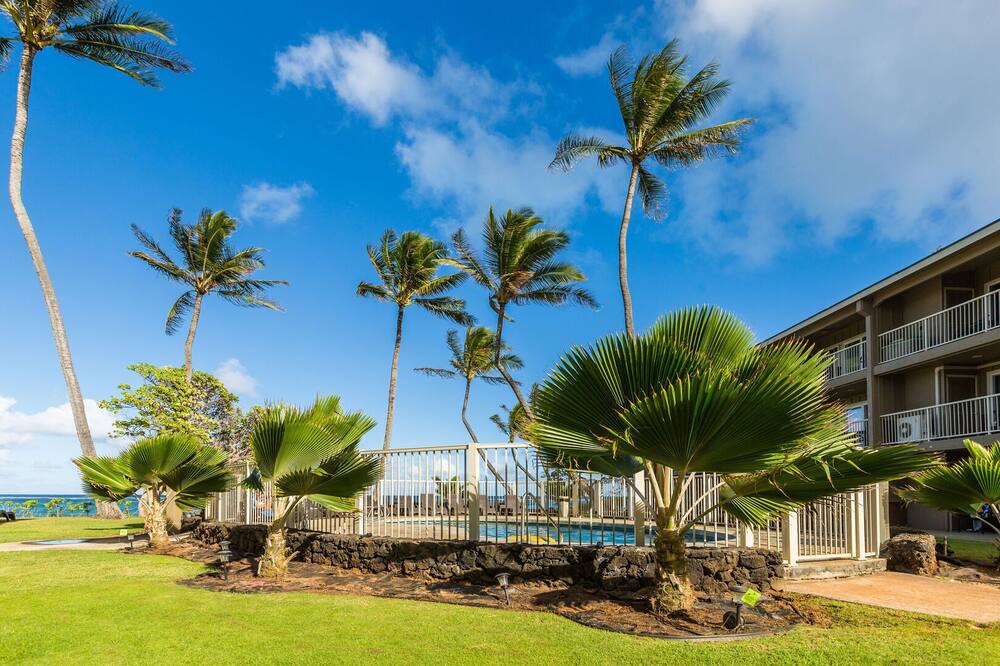 Photo of Others in Wailua