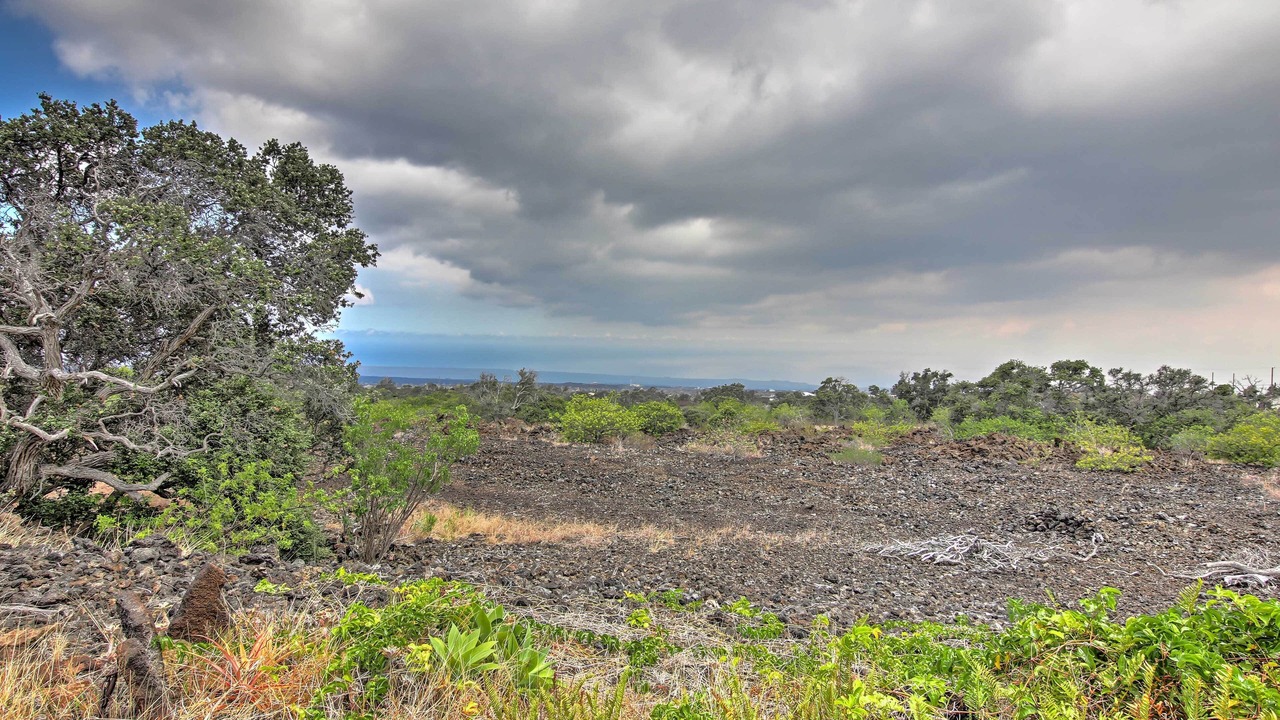 Photo of Outdoor in Ocean View