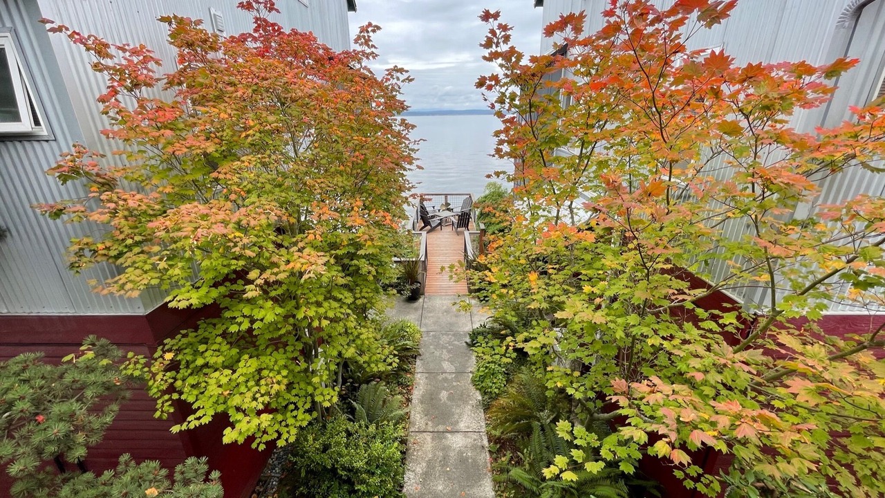 Photo of Outdoor in Langley