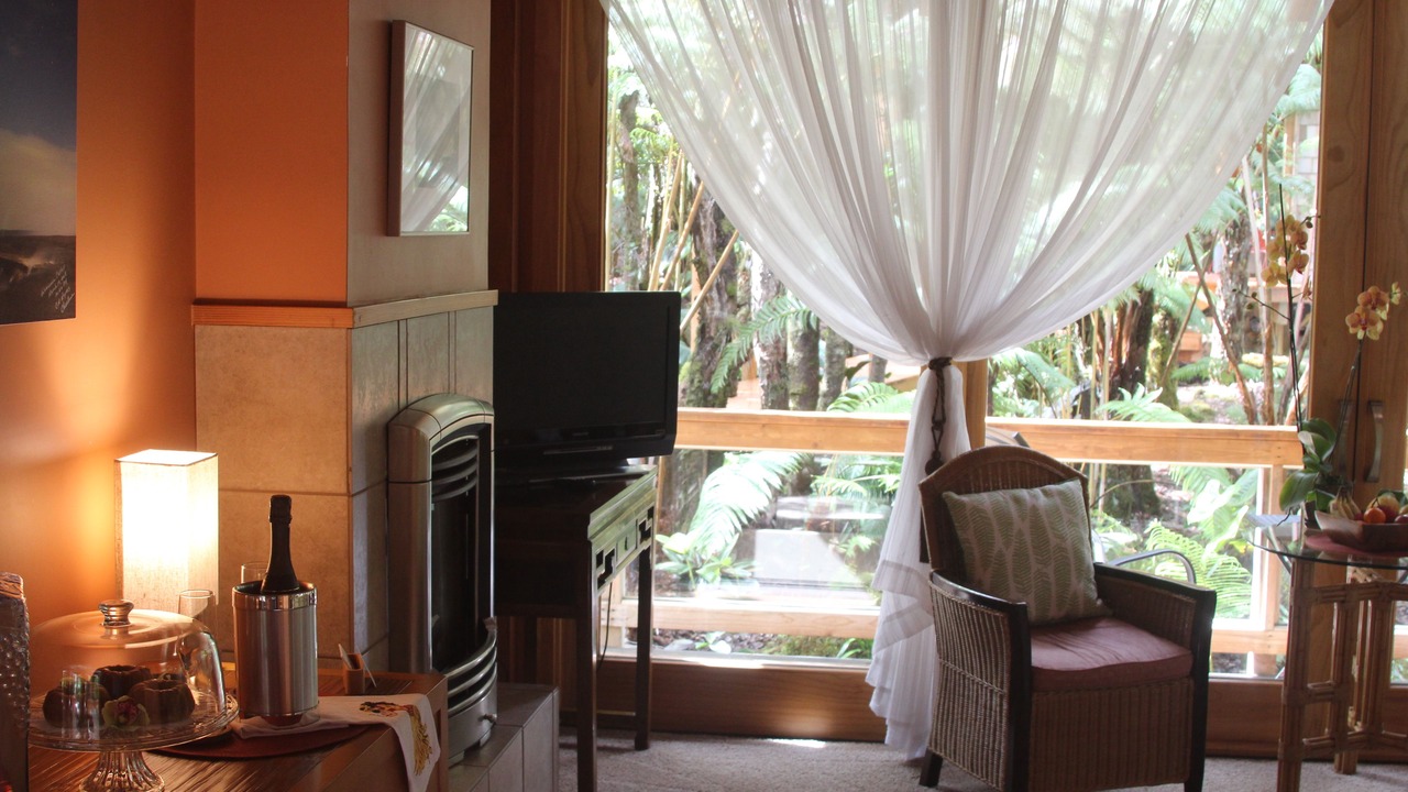 Photo of Livingroom in Volcano