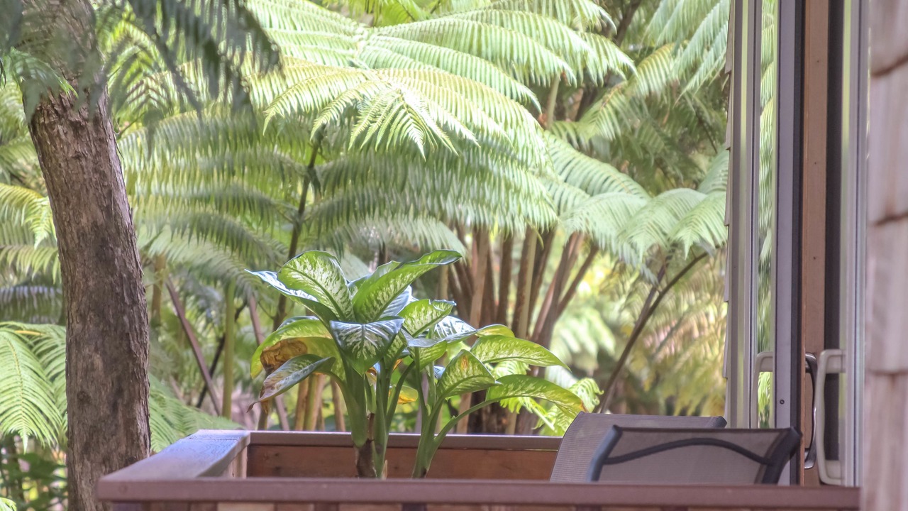 Photo of Patio Balcony in Volcano