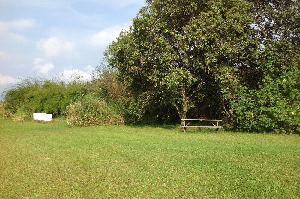 Photo of Outdoor in Honokaa