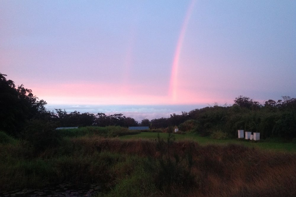 Photo of Others in Honokaa