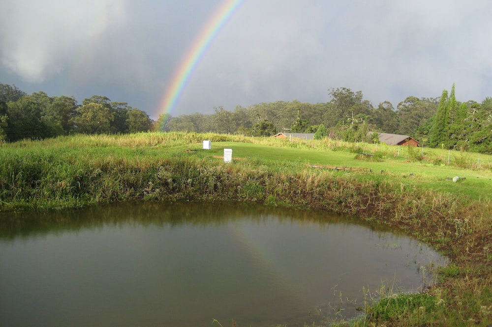 Photo of Others in Honokaa