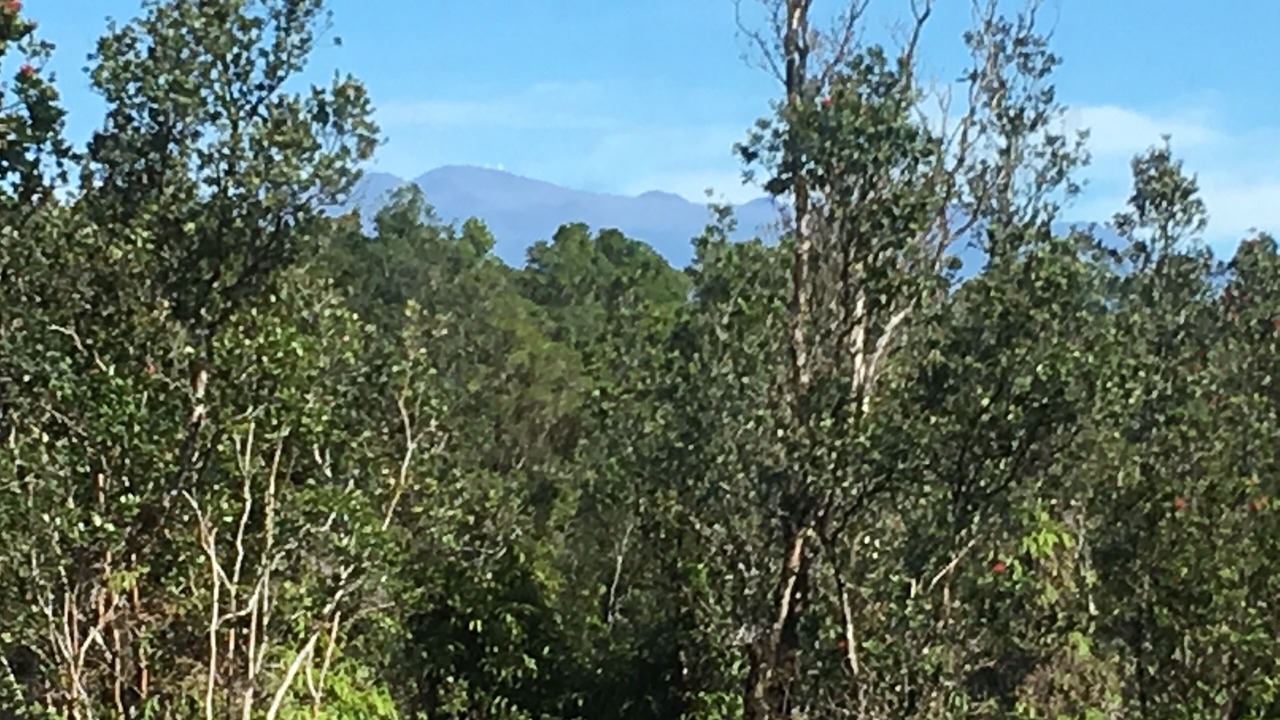 Photo of Outdoor in Mountain View