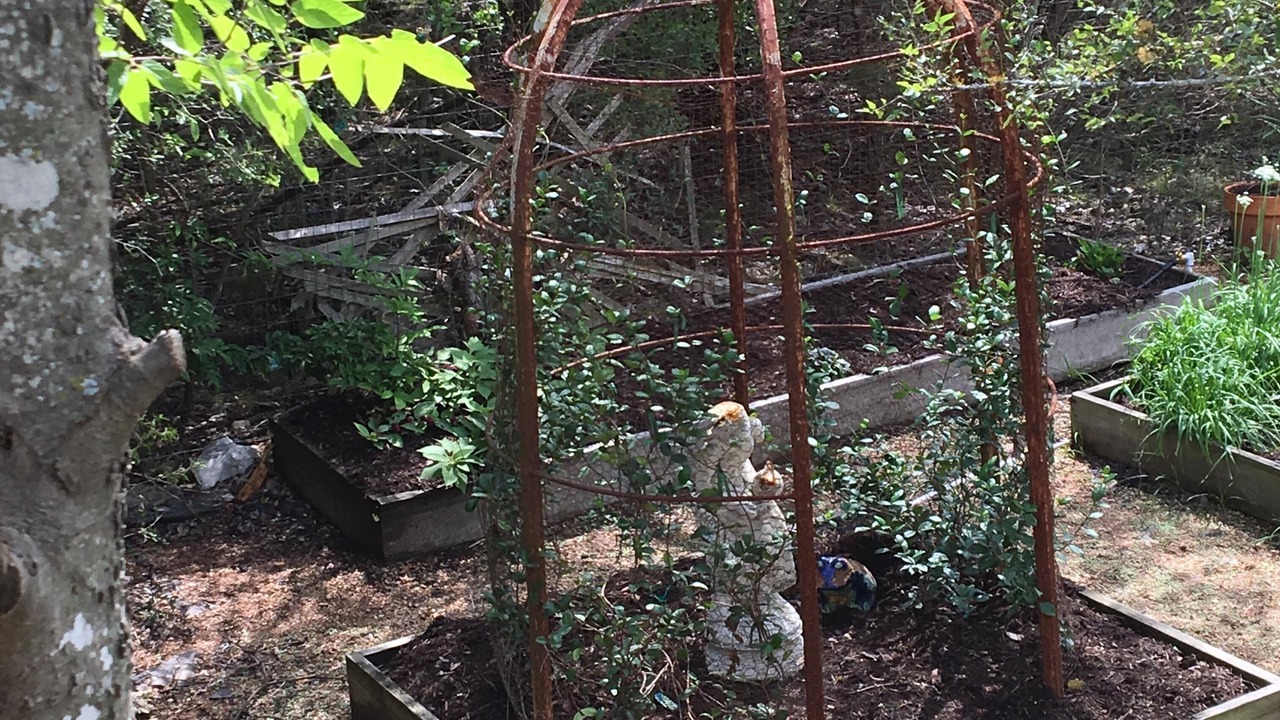 Photo of Outdoor in Wimberley