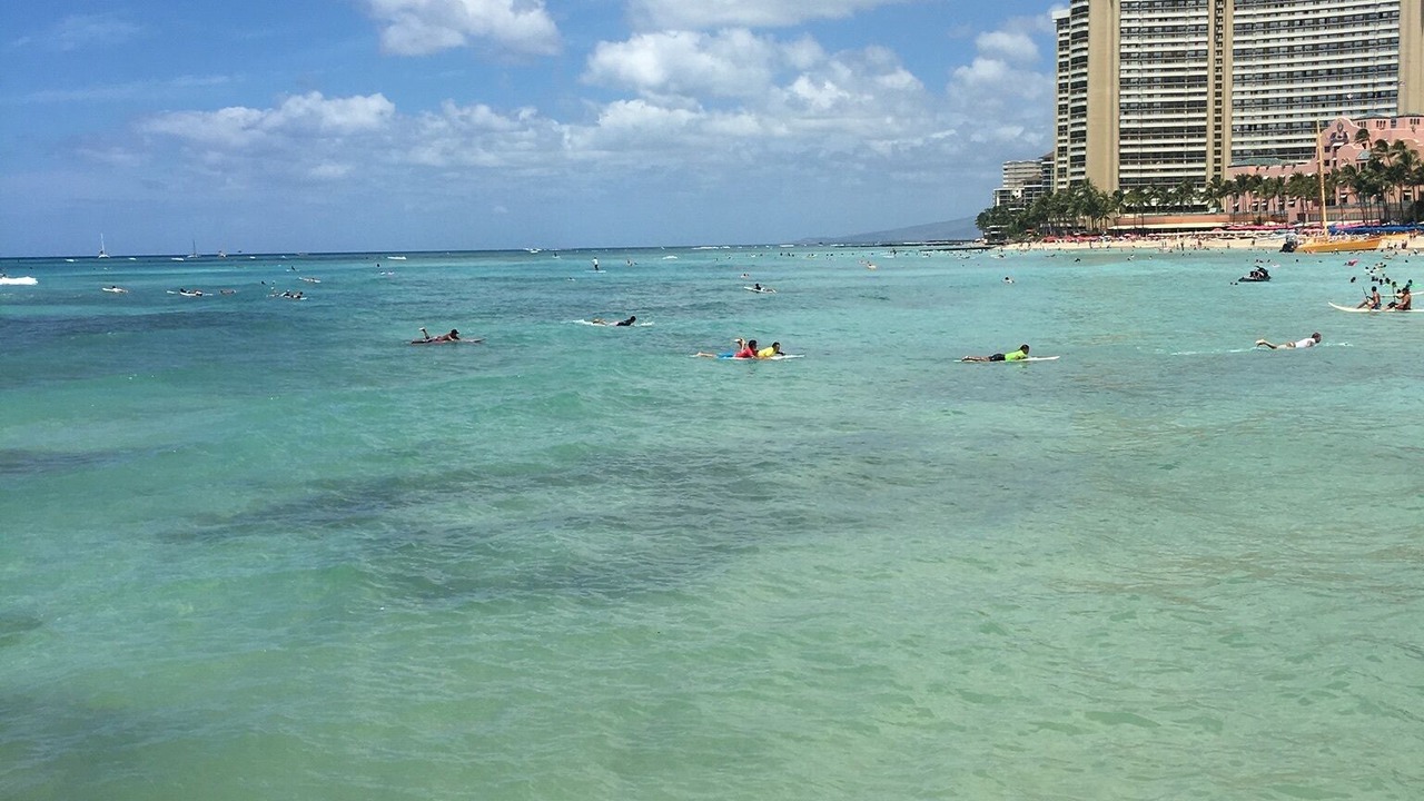 Photo of Others in Waikiki