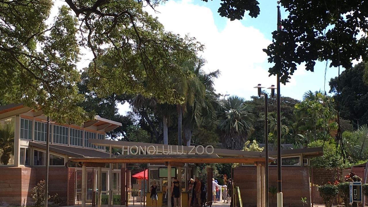 Photo of Outdoor in Waikiki