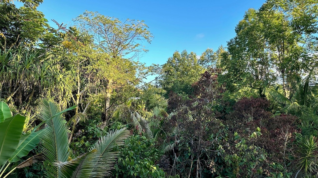Photo of Outdoor in Waa Waa