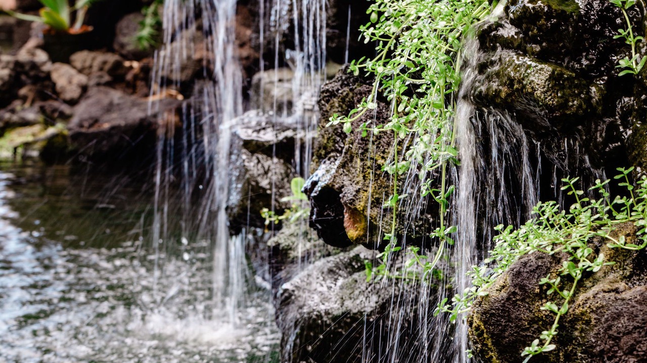 Photo of Outdoor in Honalo