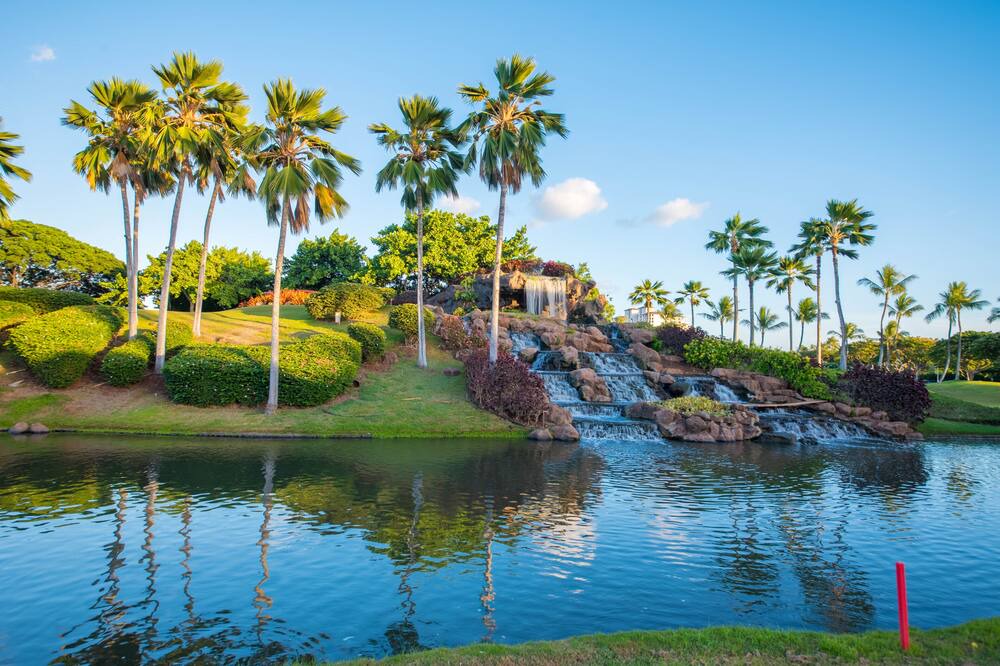 Photo of Others in Kapolei