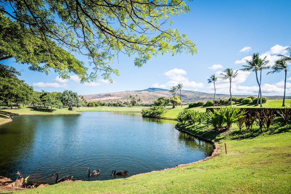 Photo of Others in Kapolei
