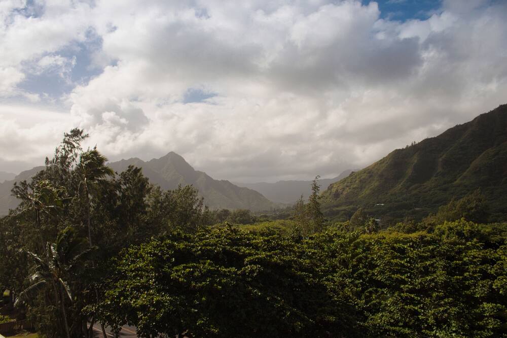 Photo of Outdoor in Punaluu