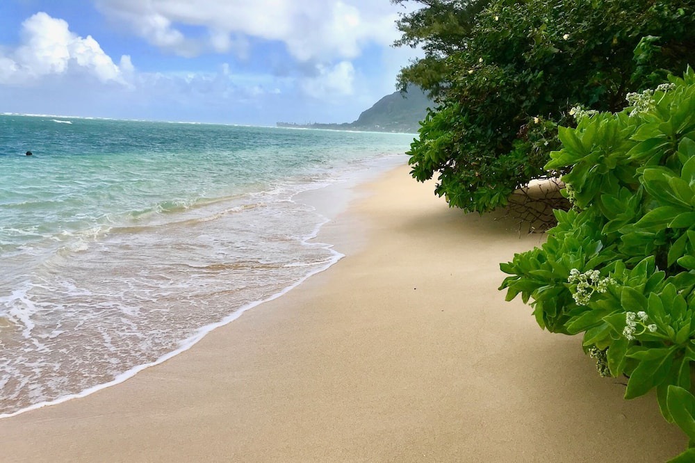 Photo of Outdoor in Punaluu