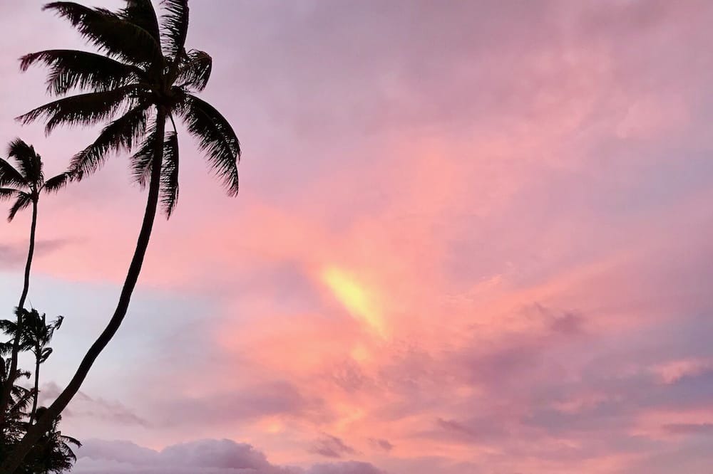 Photo of Outdoor in Punaluu