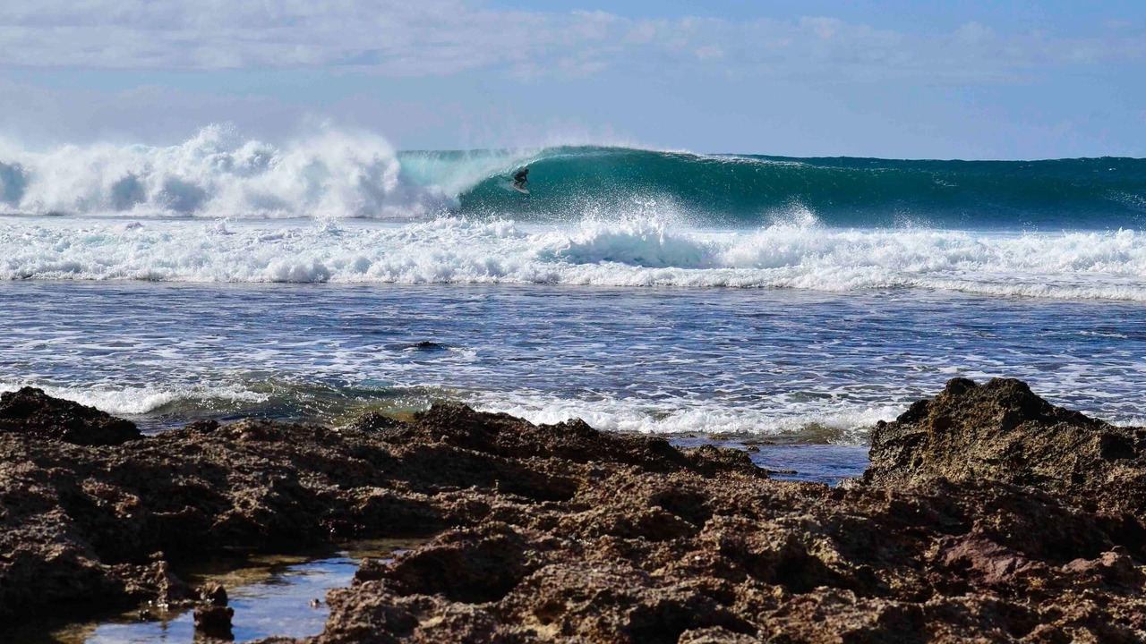 Photo of Others in Pupukea