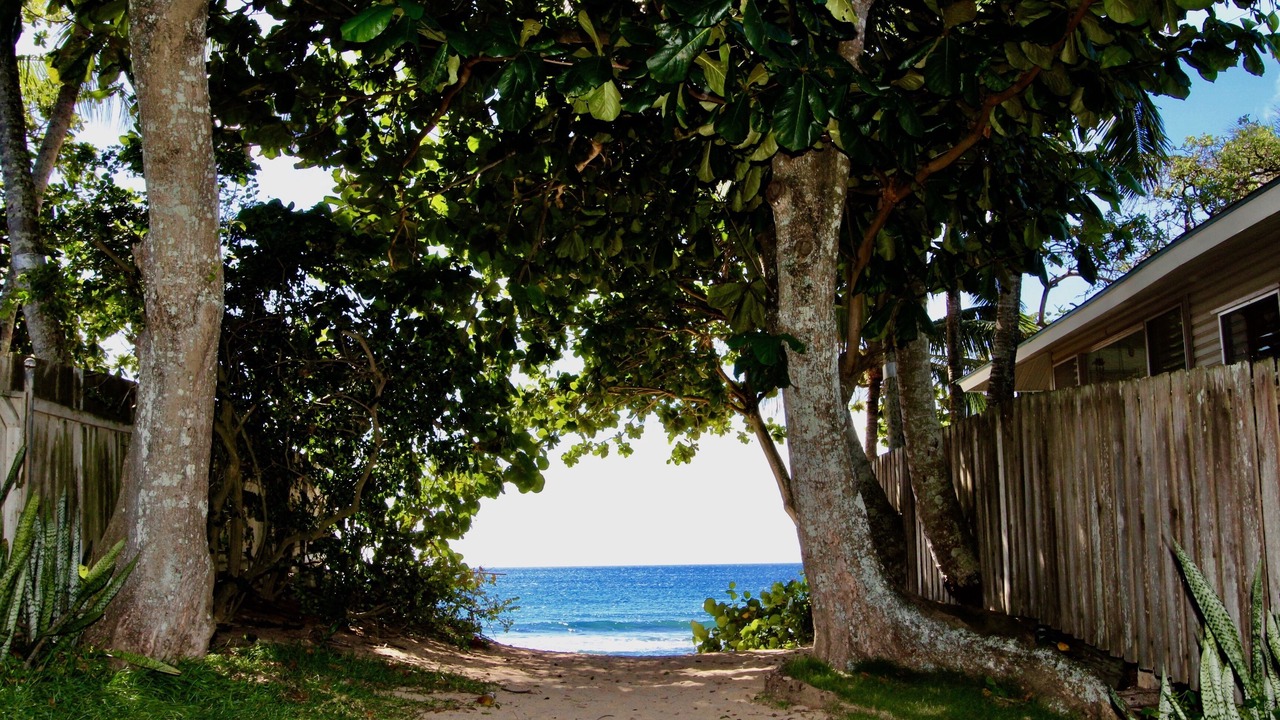 Photo of Outdoor in Pupukea
