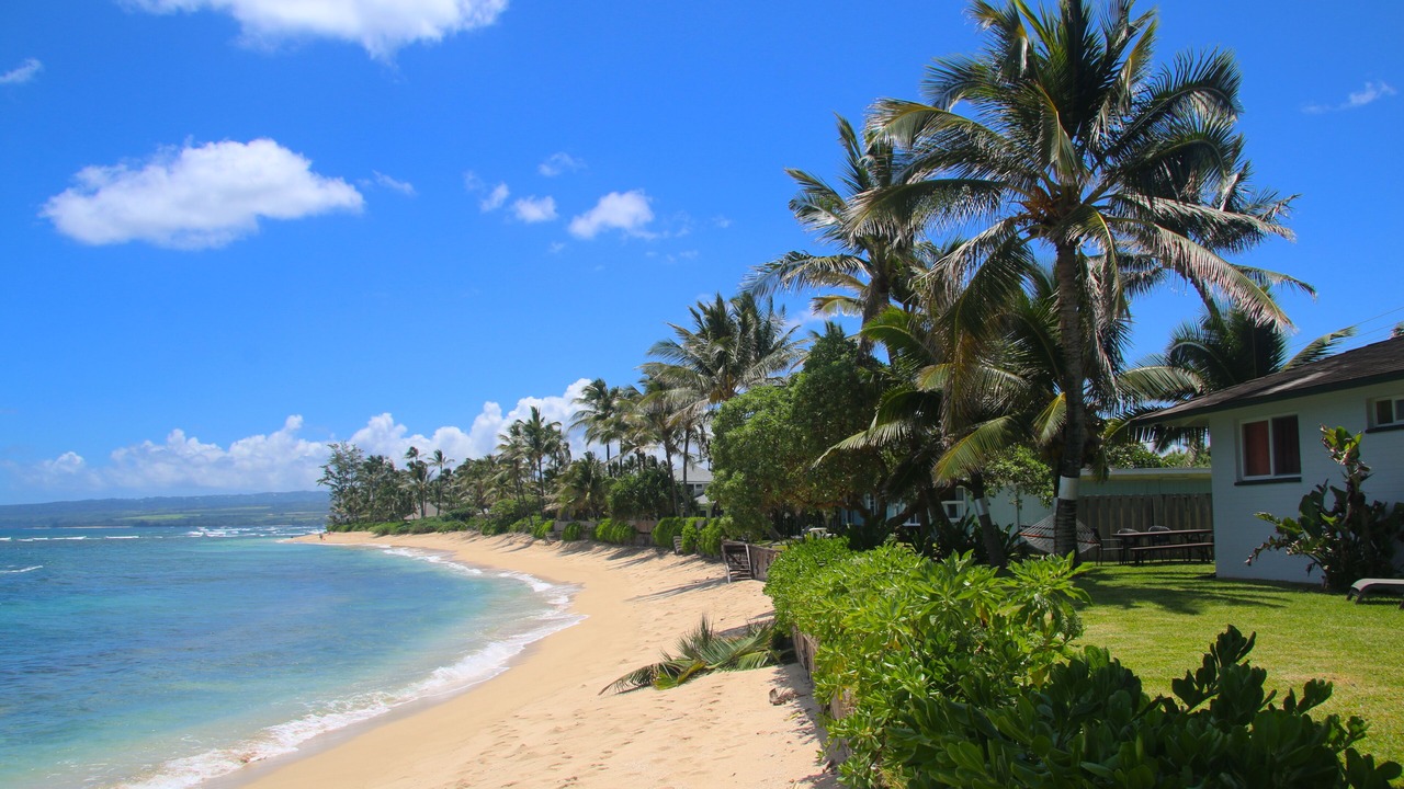 Photo of Others in Mokuleia