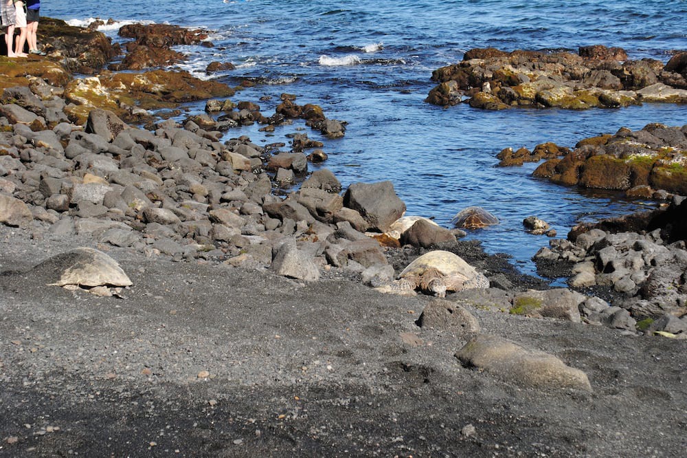 Photo of Others in Discovery Harbour