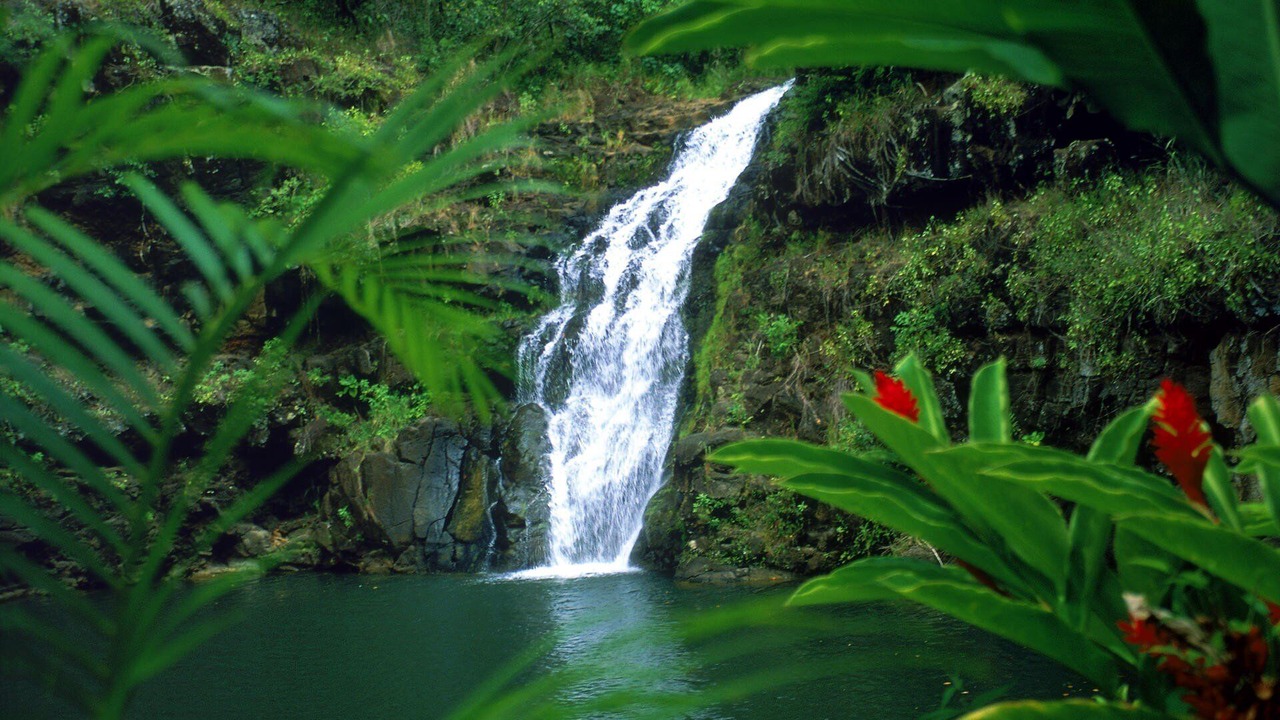 Photo of Others in Pupukea