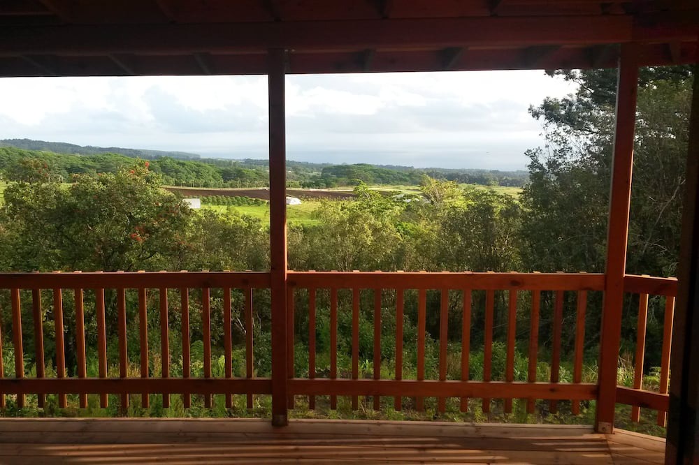Photo of Outdoor in Honomu