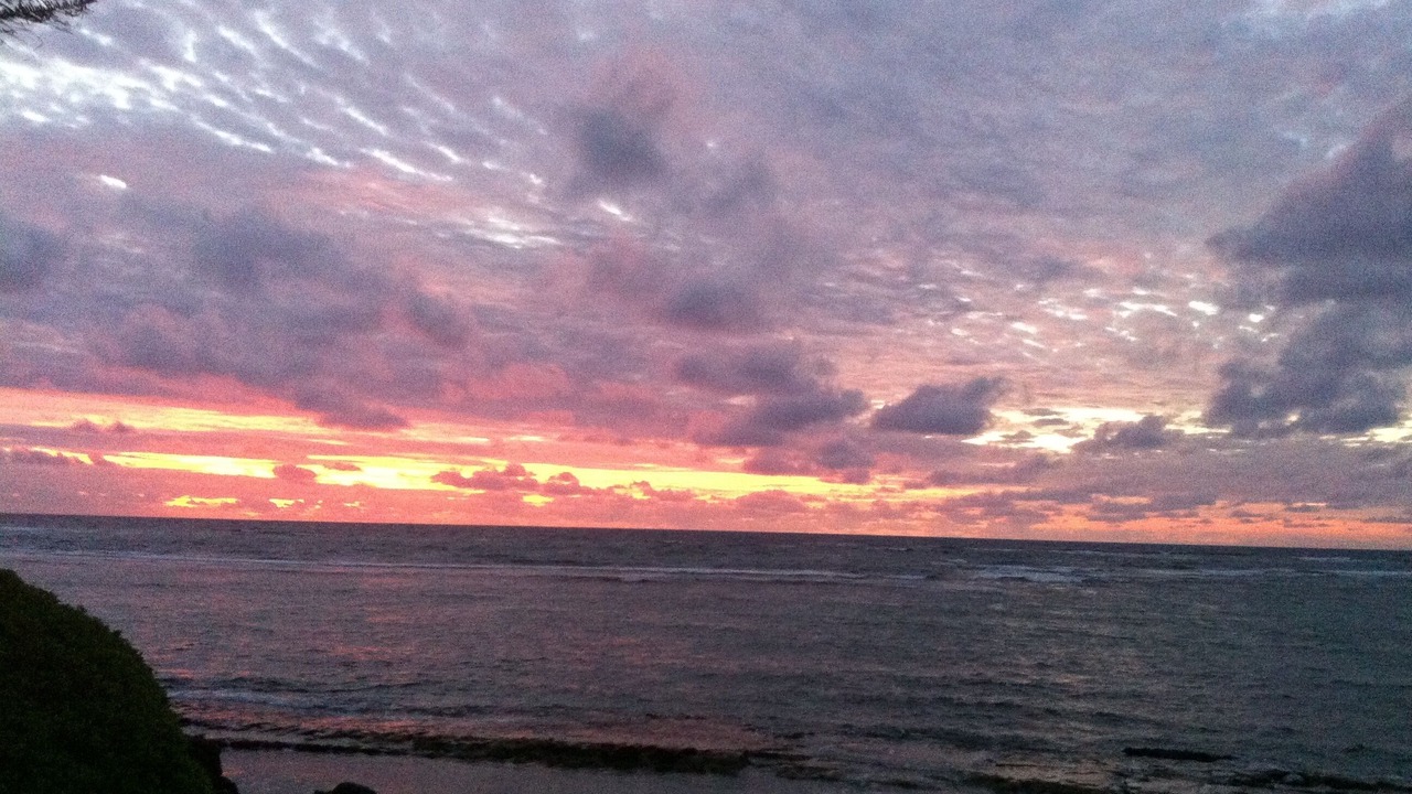 Photo of Others in Laie