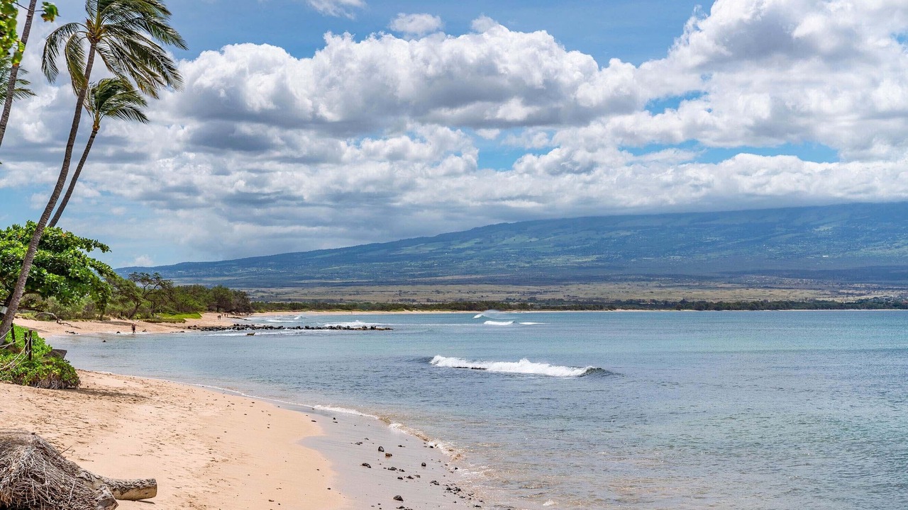 Photo of Others in Maalaea