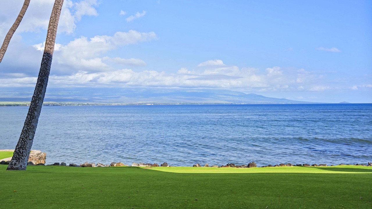 Photo of Others in Maalaea