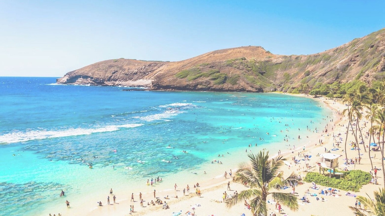 Photo of Others in Eastern Honolulu