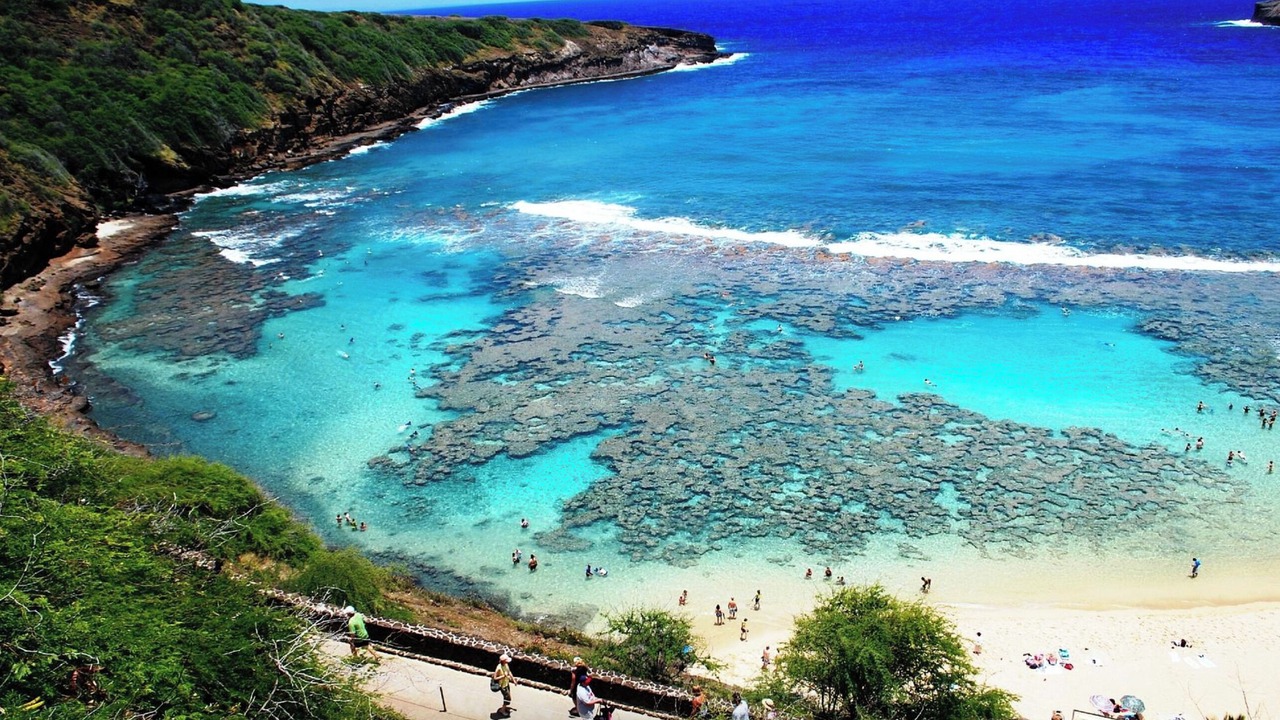 Photo of Others in Eastern Honolulu