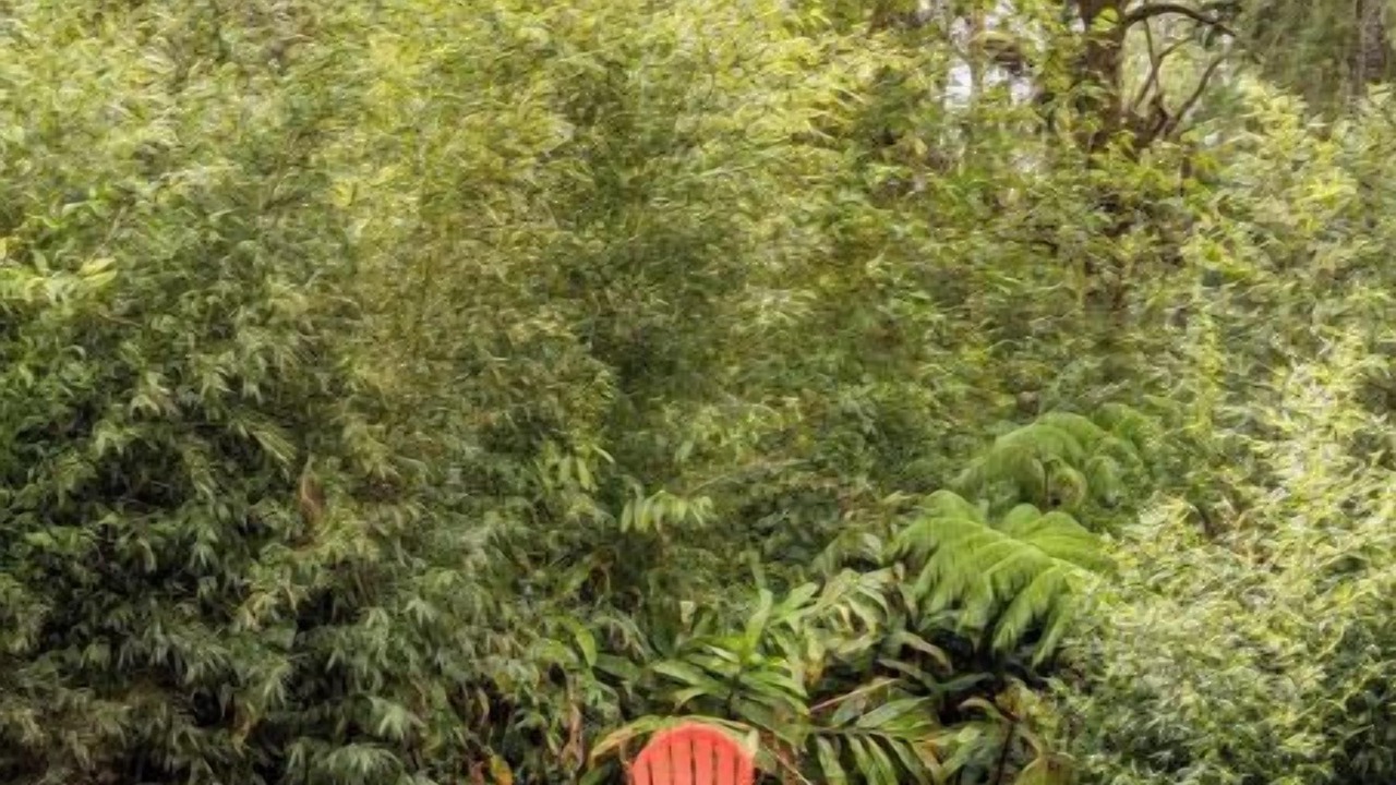 Photo of Outdoor in Kamuela
