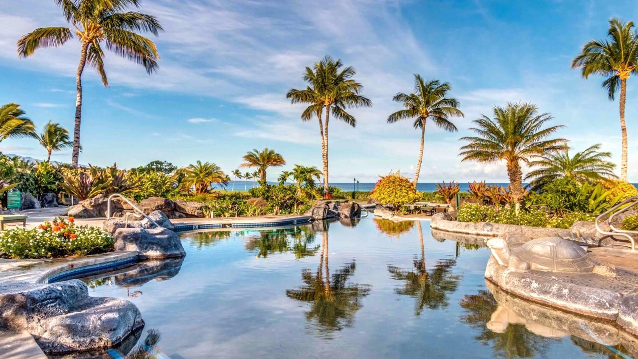 Photo of Outdoor in Waikoloa