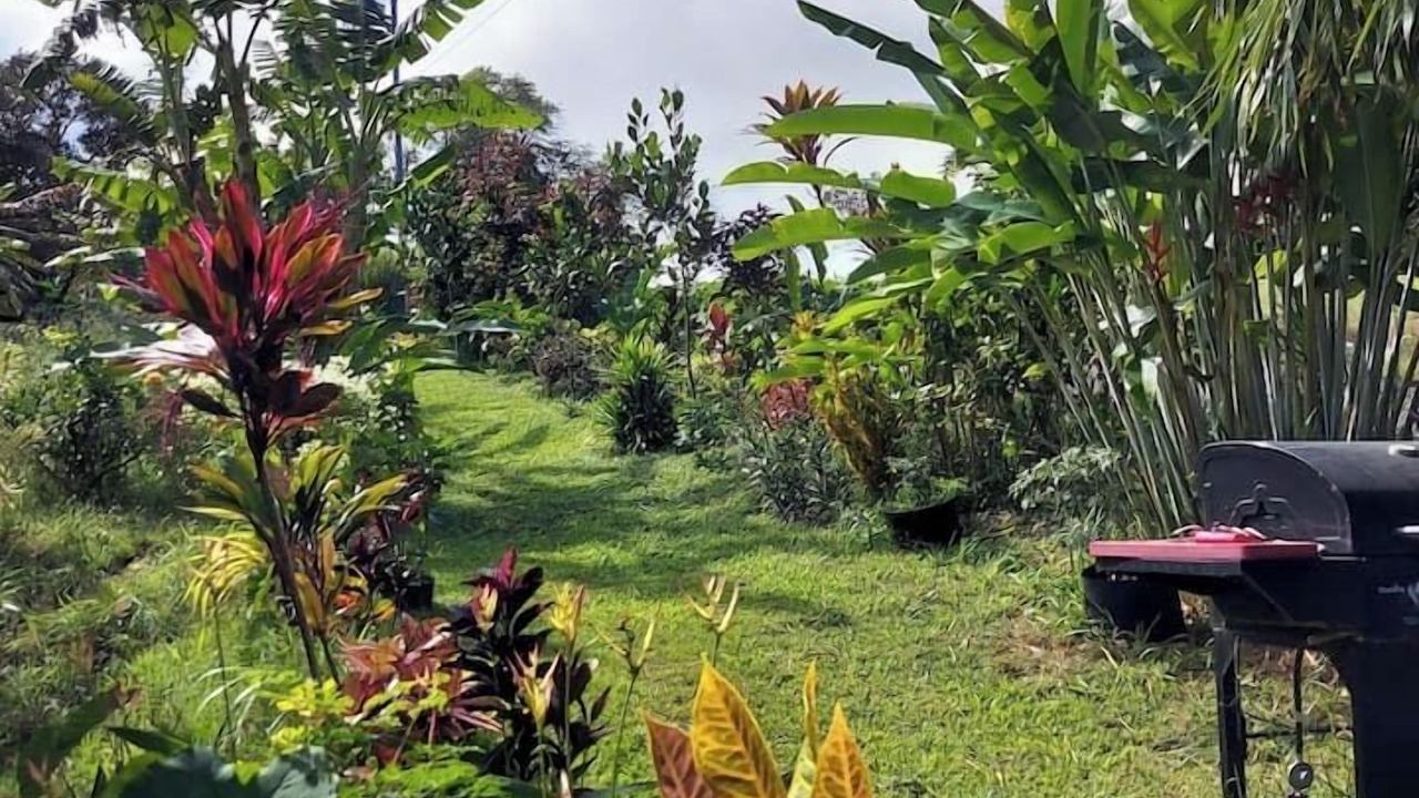 Photo of Outdoor in Honokaa