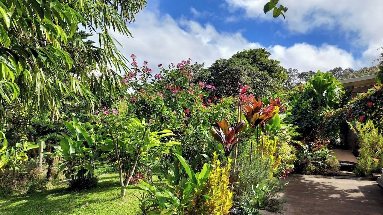 Photo of Outdoor in Honokaa