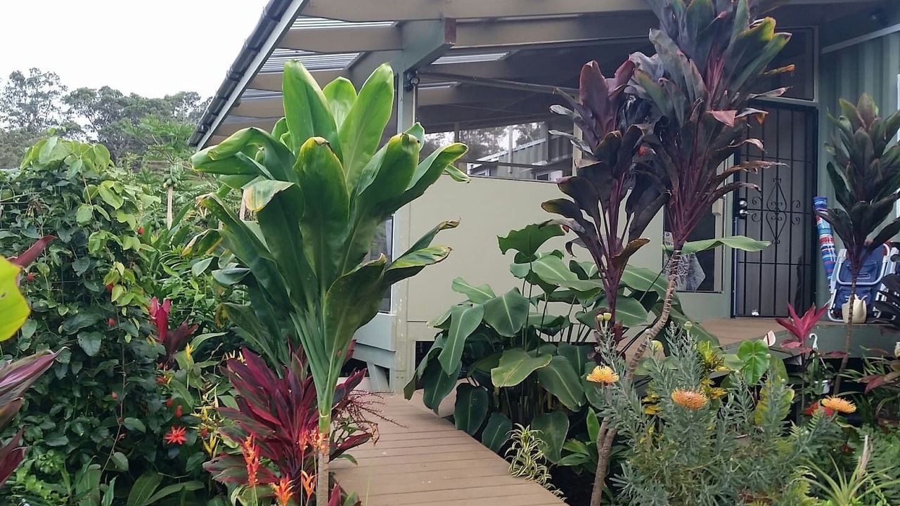 Photo of Outdoor in Honokaa