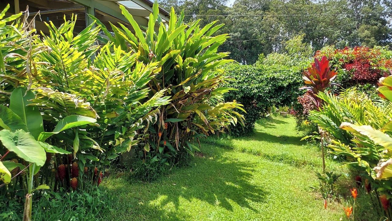 Photo of Outdoor in Honokaa