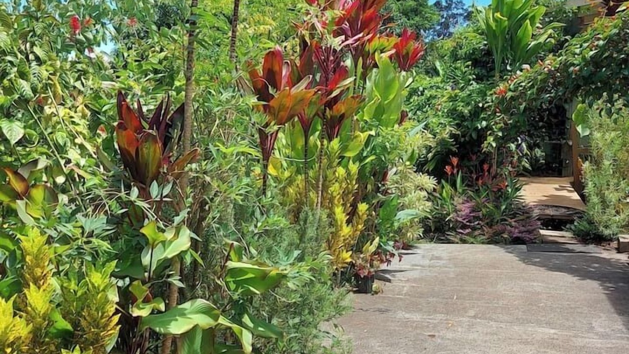 Photo of Outdoor in Honokaa