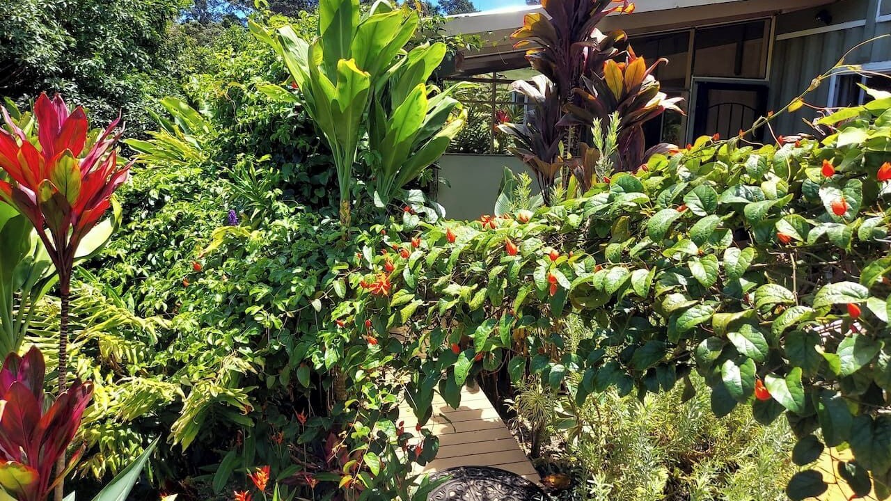 Photo of Outdoor in Honokaa