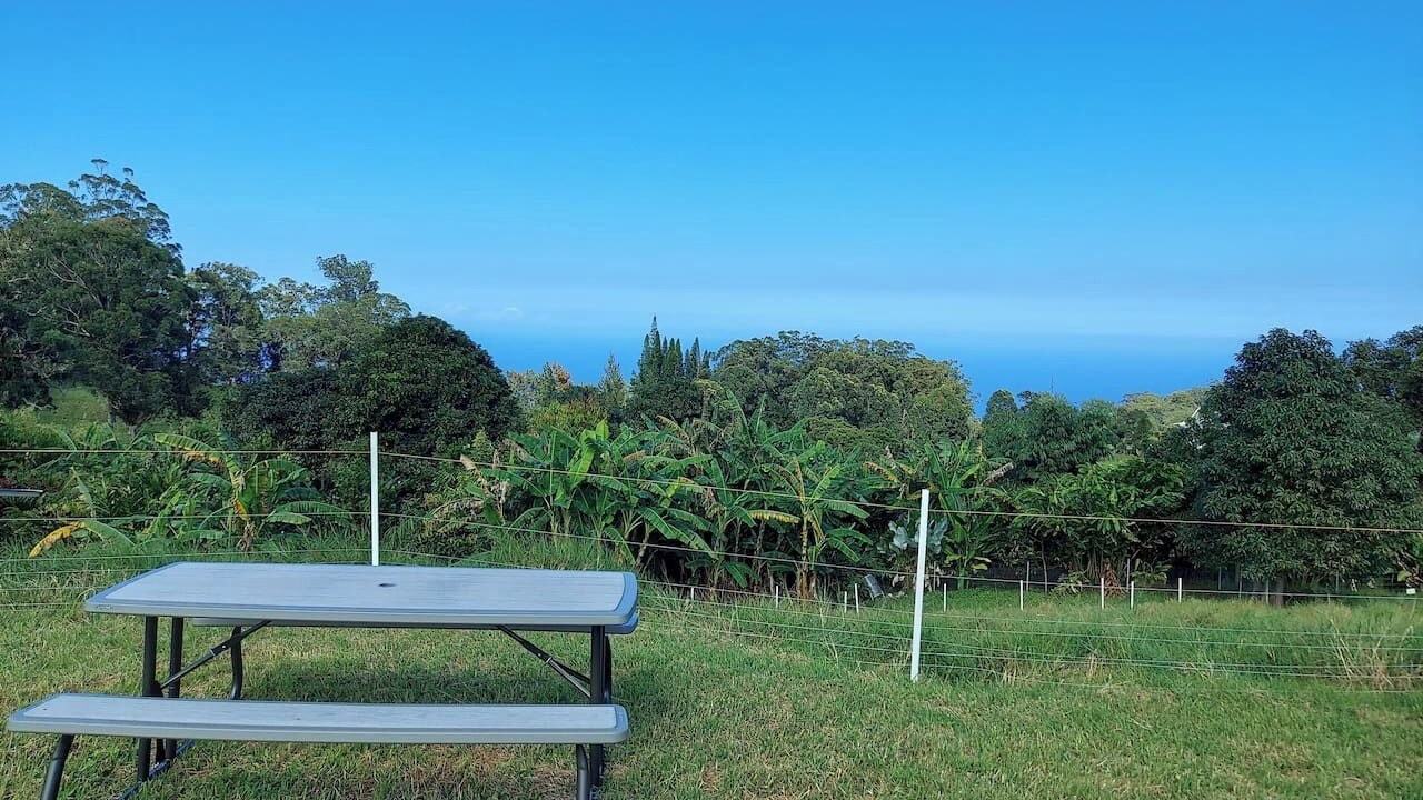 Photo of Outdoor in Honokaa