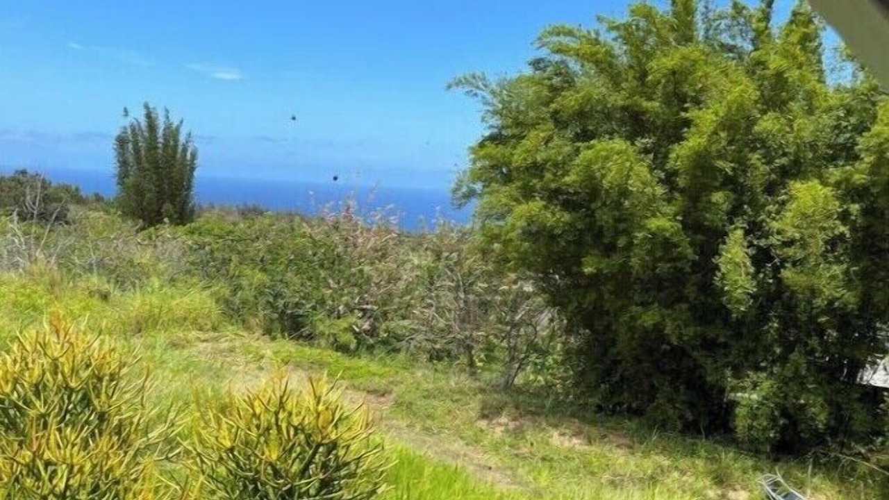 Photo of Outdoor in Honokaa