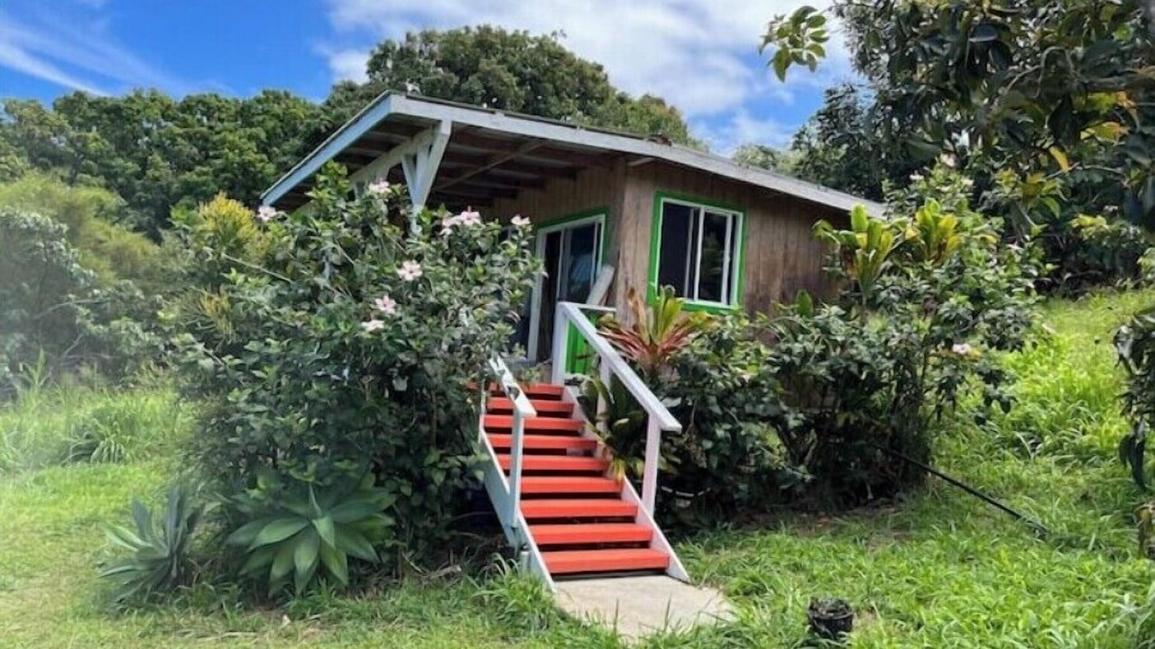 Photo of Outdoor in Honokaa