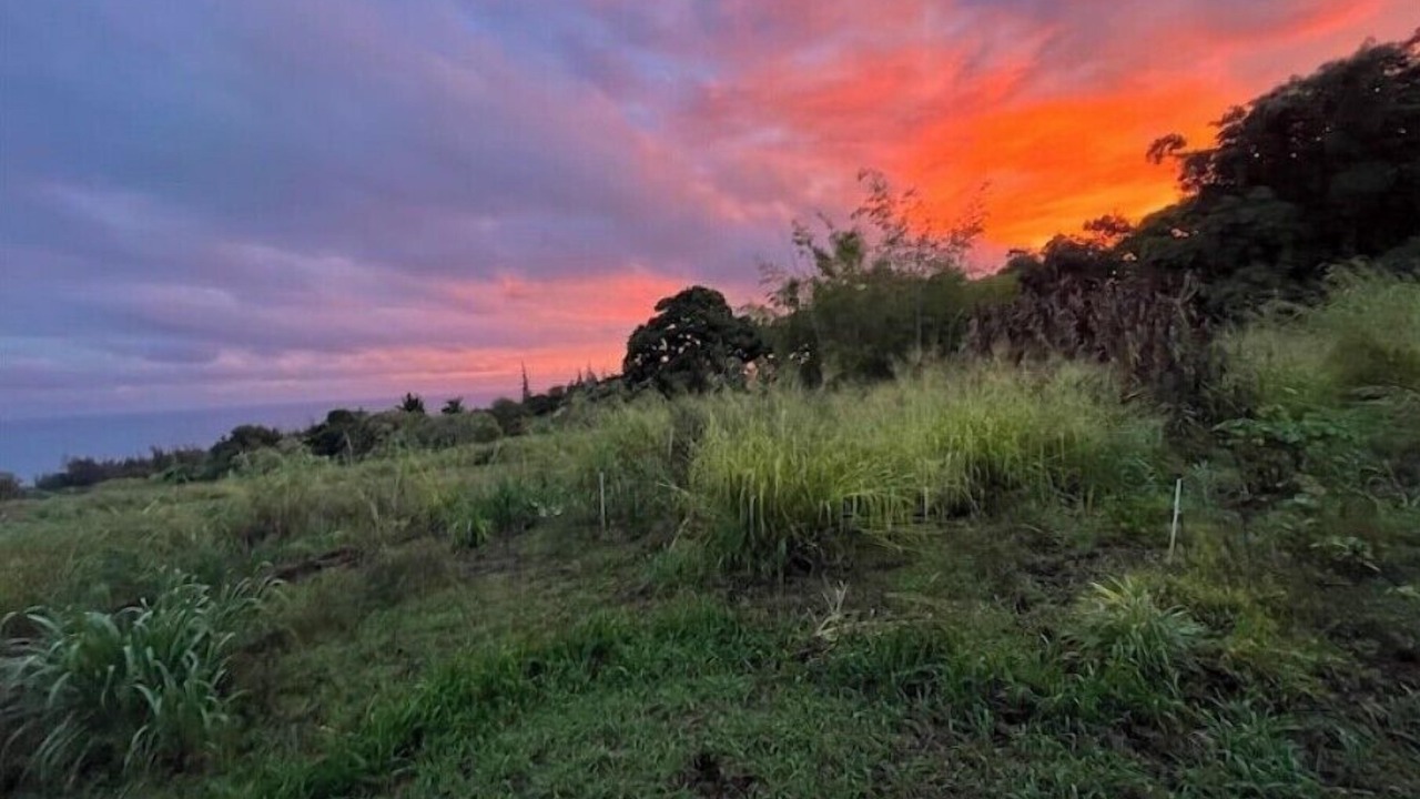 Photo of Outdoor in Honokaa