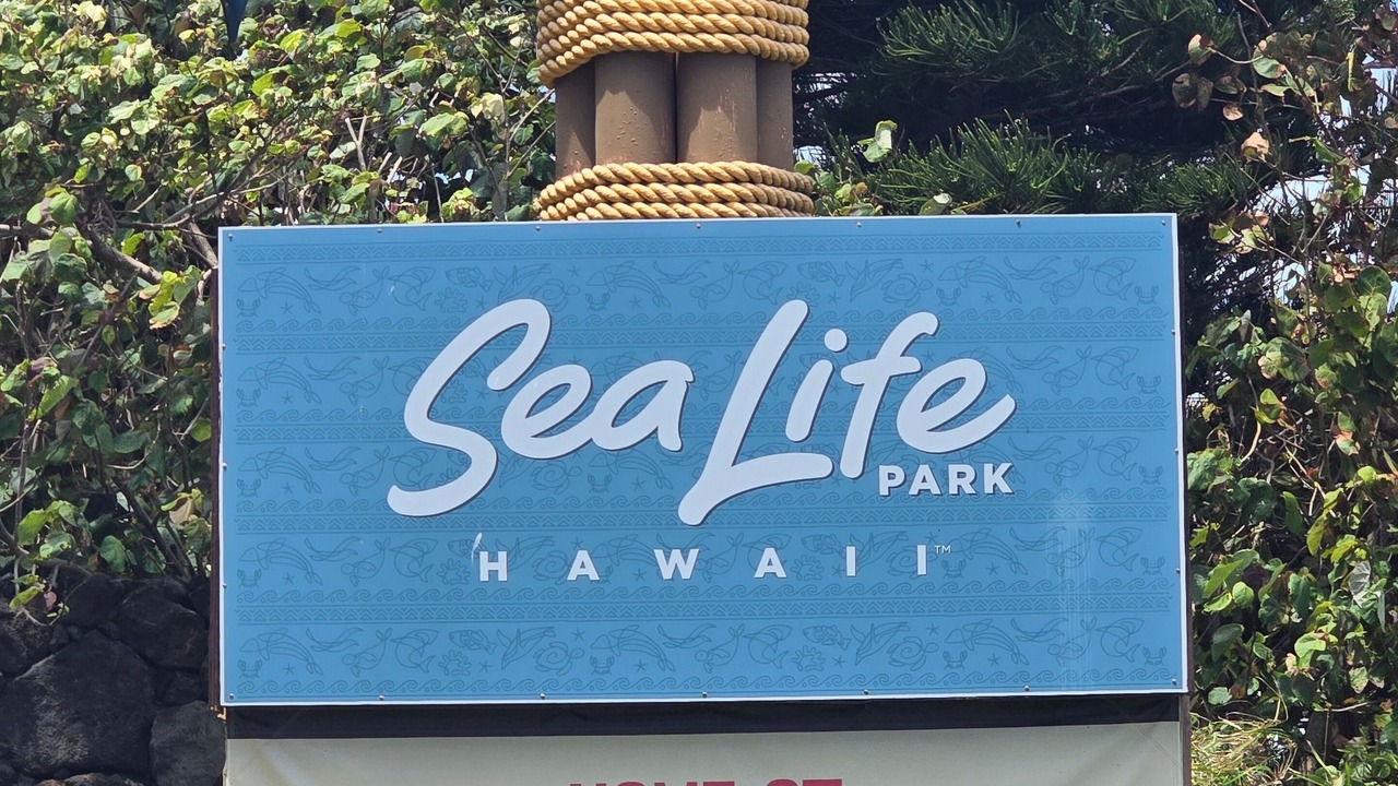 Photo of Outdoor in Diamond Head - Kapahulu - St. Louis