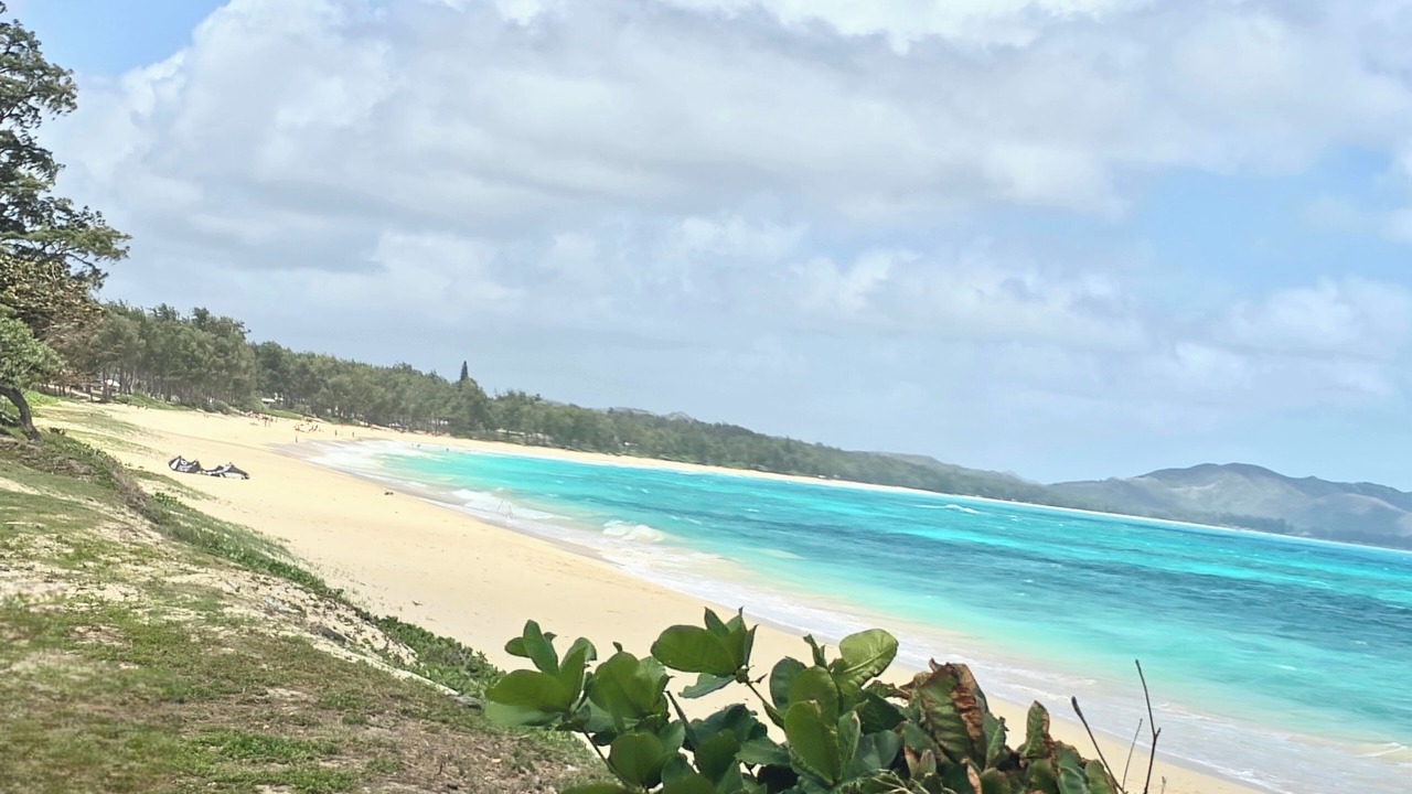 Photo of Others in Diamond Head - Kapahulu - St. Louis