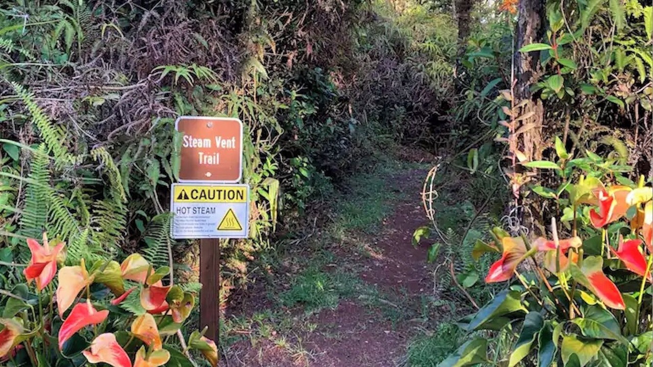 Photo of Outdoor in Pahoa