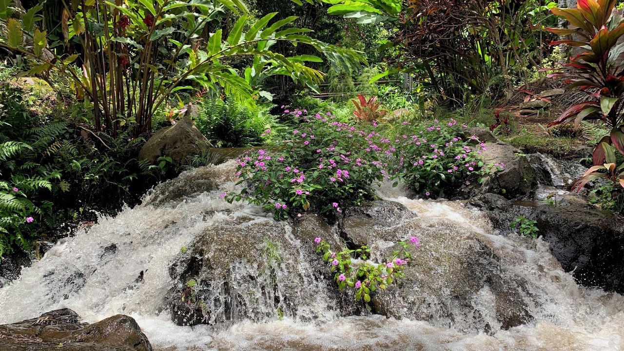 Photo of Outdoor in Kukuihaele