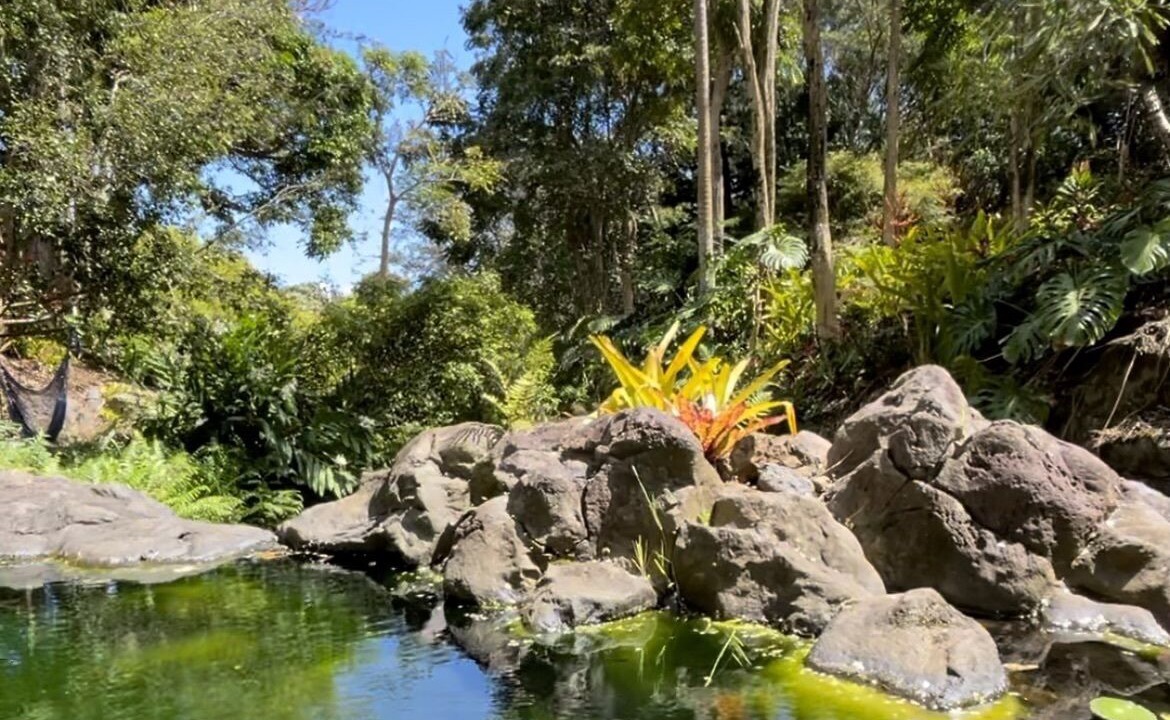 Photo of Outdoor in Kukuihaele