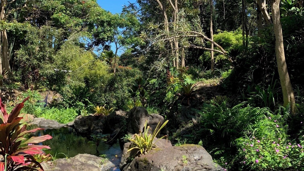 Photo of Outdoor in Kukuihaele