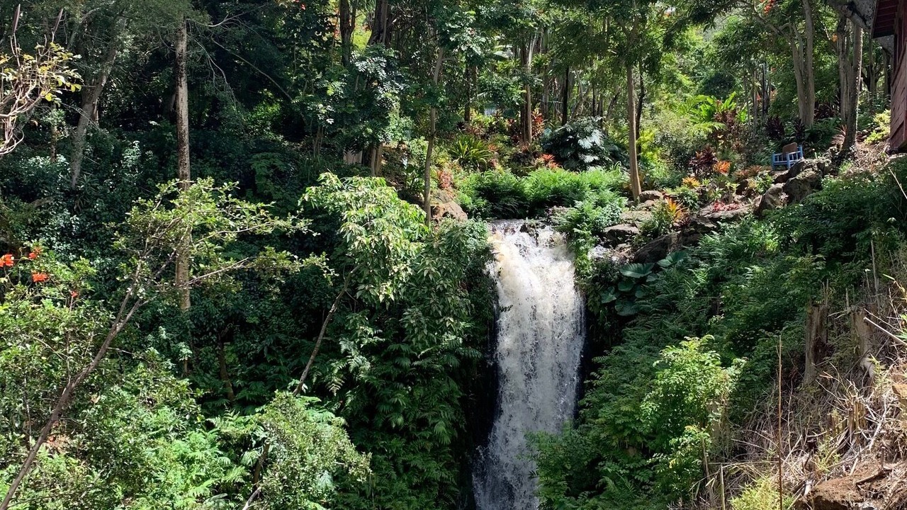 Photo of Outdoor in Kukuihaele